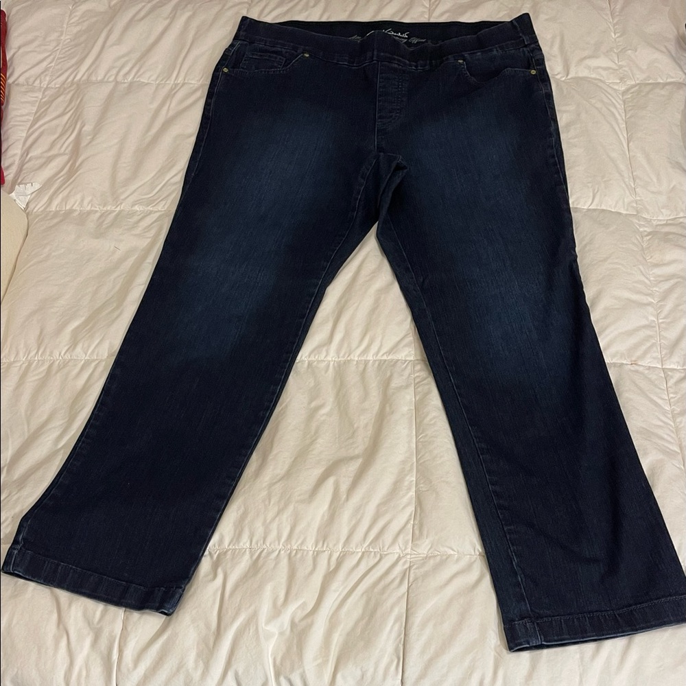 Gloria Vanderbilt Avery Straight Leg Pull-On Jeans, Size 16 W